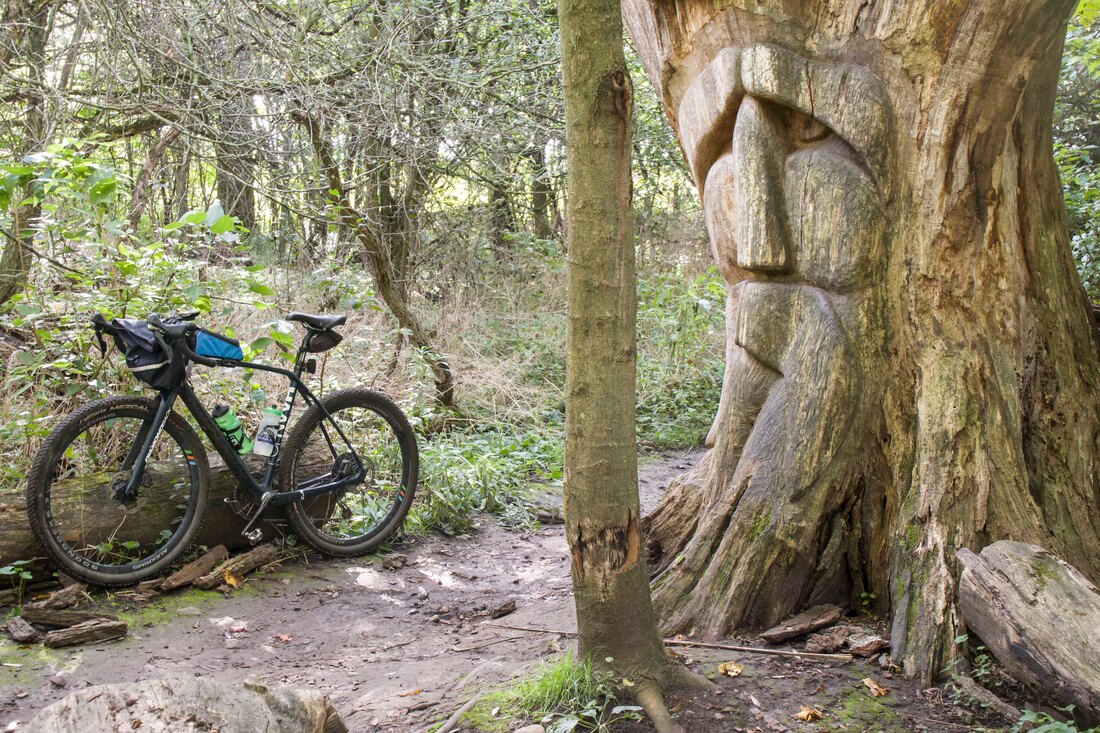carousel chooser