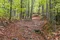 carousel chooser
